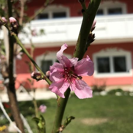 דירות Techelsberg Pension Hadanig מראה חיצוני תמונה